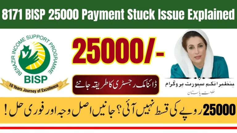 8171 BISP 25000 Payment Stuck Issue Explained