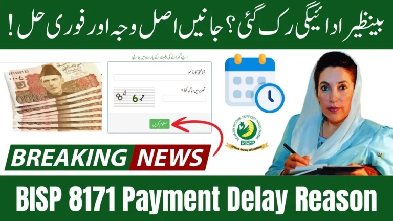 BISP 8171 Payment Delay Reason