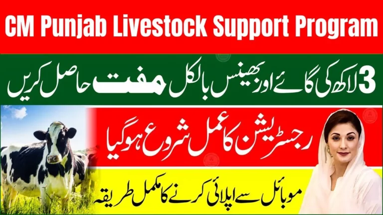 CM Punjab Livestock Support Program