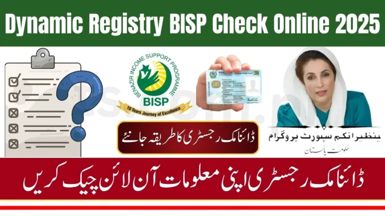 Dynamic Registry BISP Check Online 2025 – Verify & Update Eligibility at 8171 Portal Pakistan