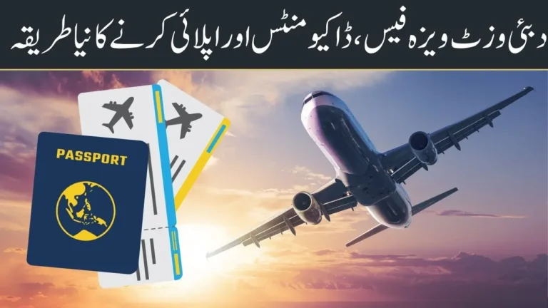 UAE Visit Visa 2025 – Updated Fees, Required Documents & Easy Online Application Guide